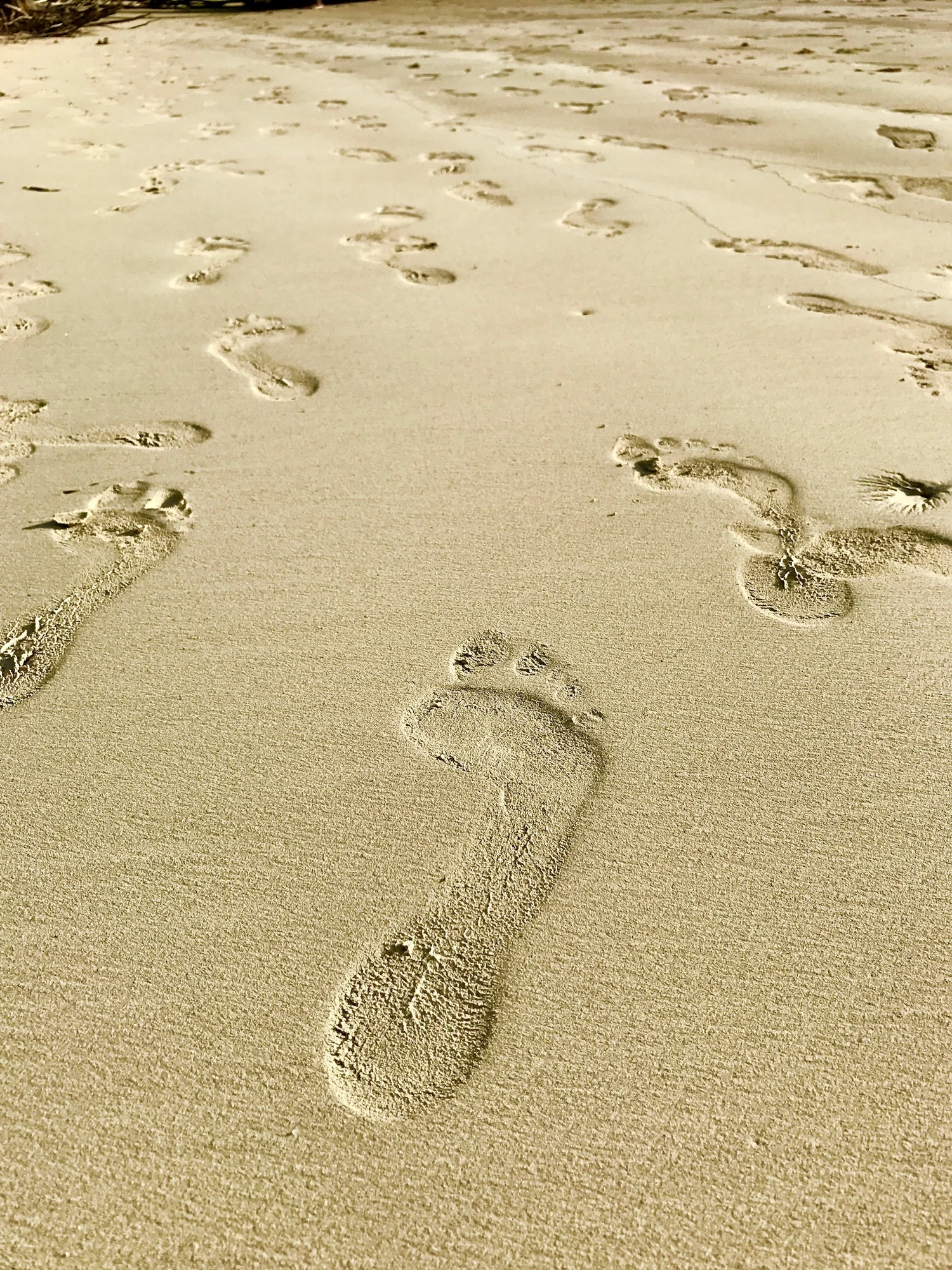 Footprints in golden sand