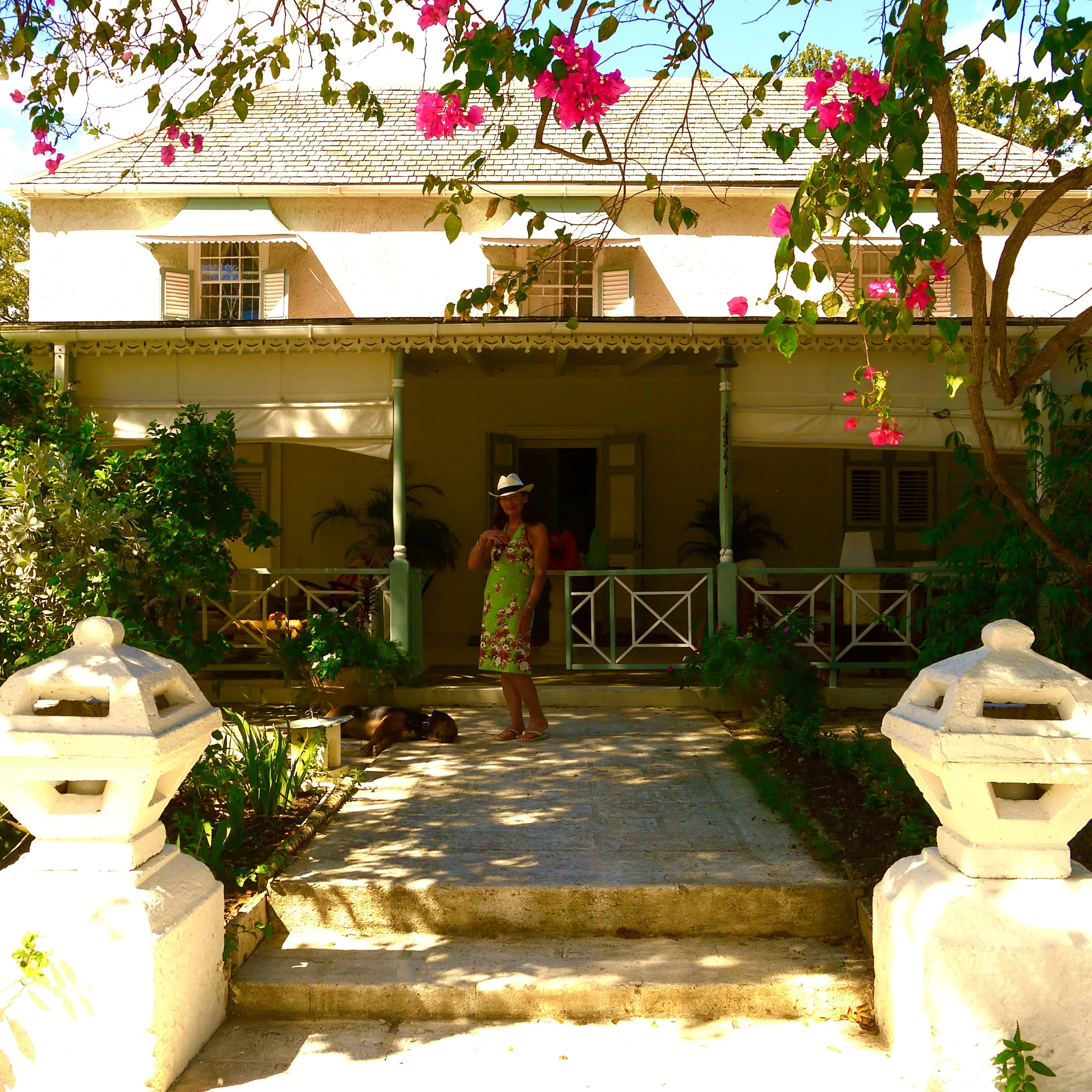 A plantation house behind bougainvillea, Barbados — from Amber's travels