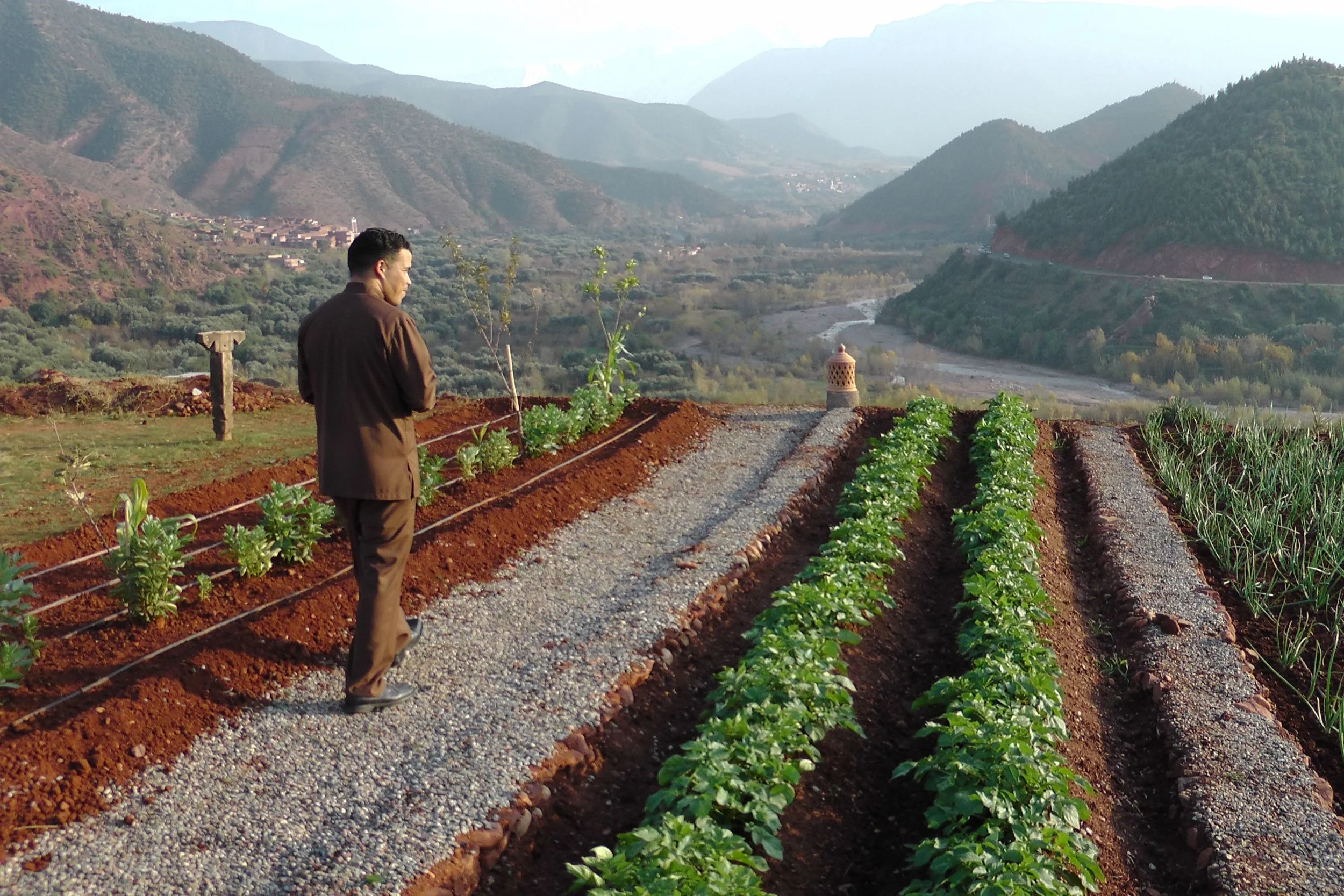 A kitchen garden above the Ourika valley, Atlas Mountains, Morocco